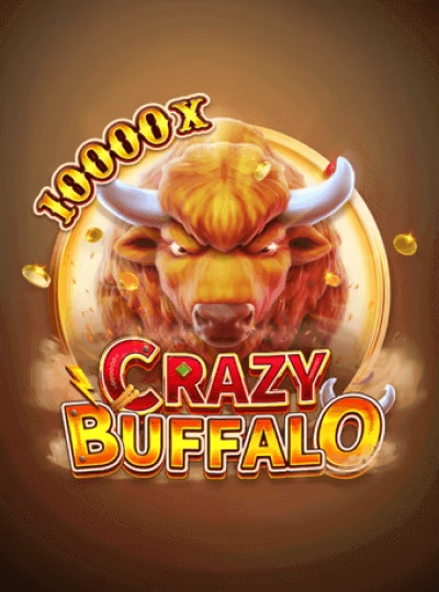 z577 Live blackjack dealer table cover from Evolution Gaming